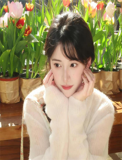 《西行纪之宿命篇 第三季》观影指南：如何理解社会意义与现实价值 提升观影体验